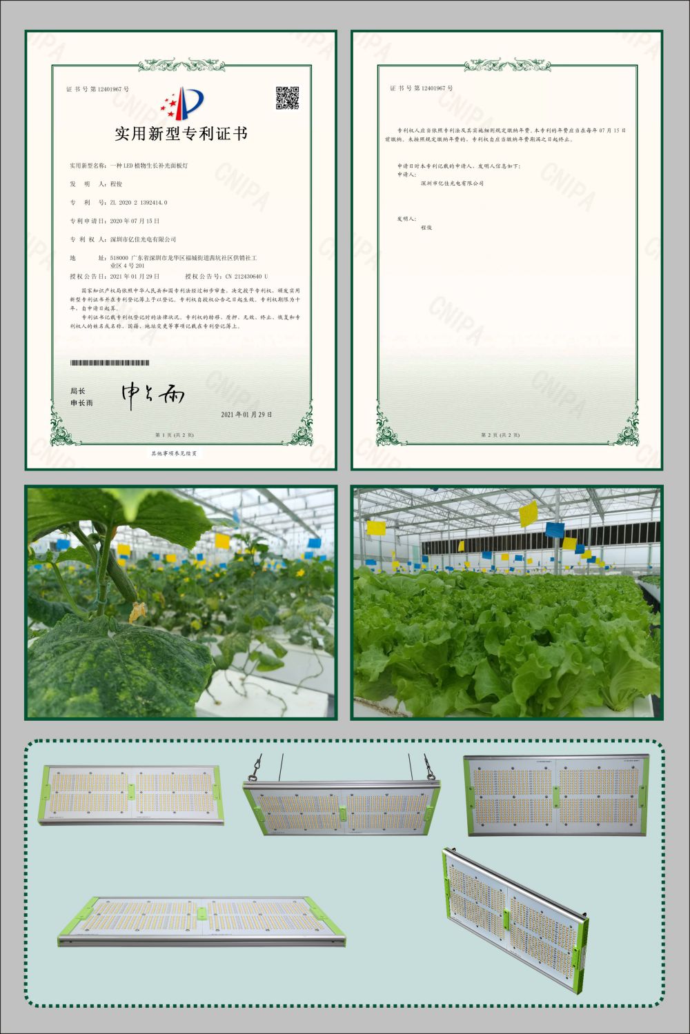 一飞冲天300倍植物生长面板灯实用新型专利